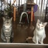 ののちぇちぇ
