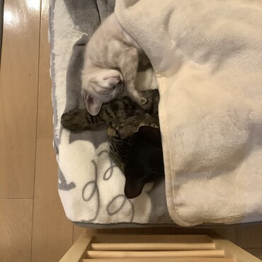 の写真