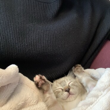 の写真