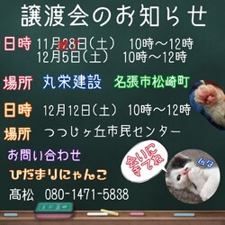 保護猫の譲渡会in名張