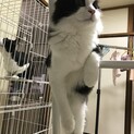 急募！