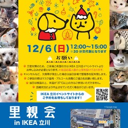 IKEA立川店12月里親会