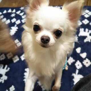 素敵なご縁を頂きました☺️