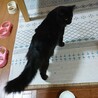 カズエちゃんの息子、遥くん サムネイル7