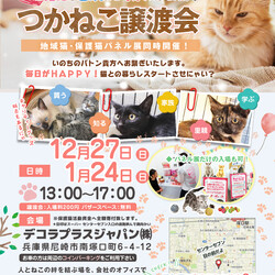 つかねこ譲渡会inＯｆｆｉｃｅ