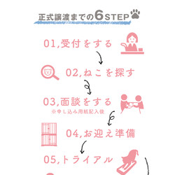 あなたが繋ぐ、保護猫の物語ー。『訳猫の譲渡会』（わけねこ譲渡会） サムネイル2