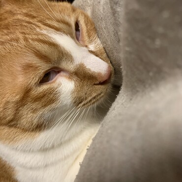 の写真
