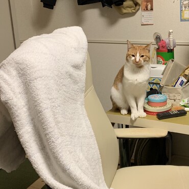 の写真