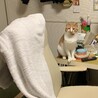 の写真
