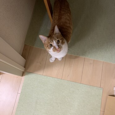 の写真