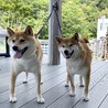 muko muko