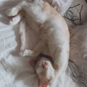 本当に可愛い子です