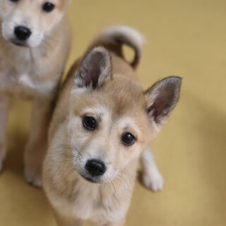 イケメンなテンペイ！