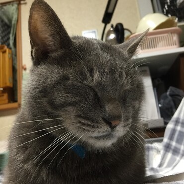 あざみちゃん、僕は元気だけどみんなが心配で心配で…早く帰っておいで〜僕のために(^^)