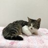 見学歓迎　凛ちゃん サムネイル2