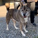新しいお家を探しています。