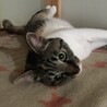 の写真