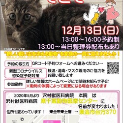 犬猫譲渡会『てとて』