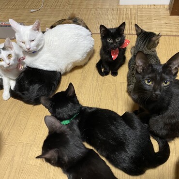 の写真