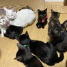 の写真