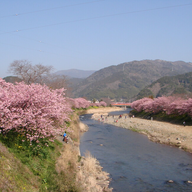 うちのこっ。のカバー写真