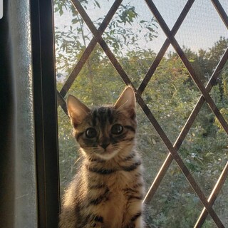 超超超甘えん坊なミキちゃん