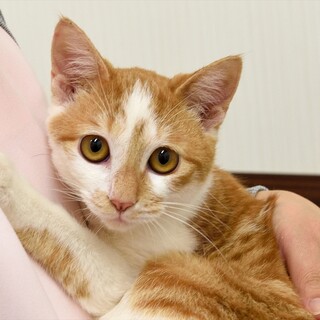 まるた君。フミフミ抱っこの甘えん坊くん。