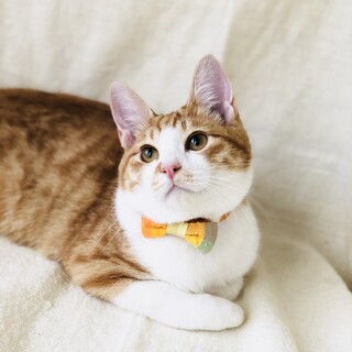ふくふくまん丸なお顔が可愛いガリレオ君!!
