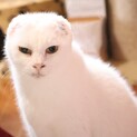 ★ひろしくん★お耳がなくてもとってもチャーミング