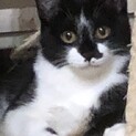 ちびちゃん