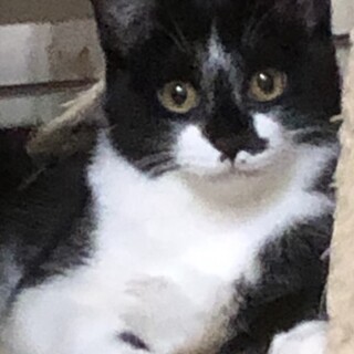 ちびちゃん
