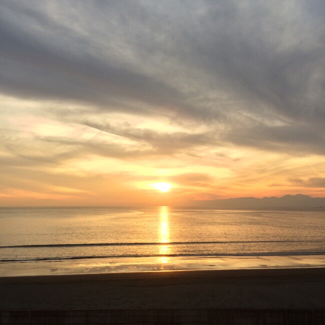 dark。のカバー写真