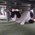 てつこ　男の子