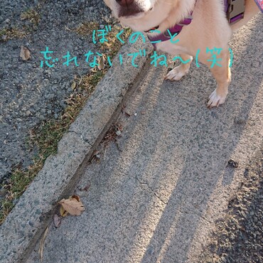 銀太は今日も元気です♪