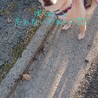 銀太は今日も元気です♪