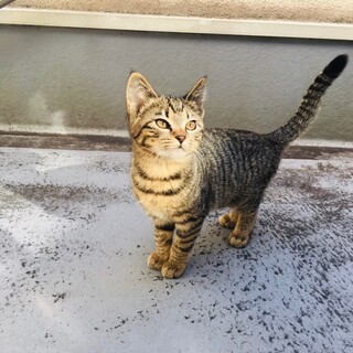 ずっとのおうちが見つかりました