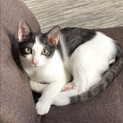 追いかけっこが大好きなカエデくん！