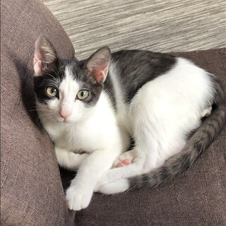 追いかけっこが大好きなカエデくん！