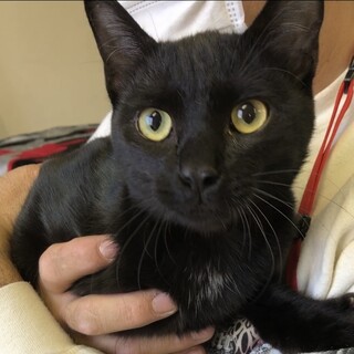 人が大好き！甘えん坊ゴマくん★