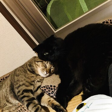 の写真
