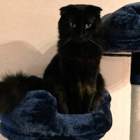 愛龍ちゃん あいるちゃん