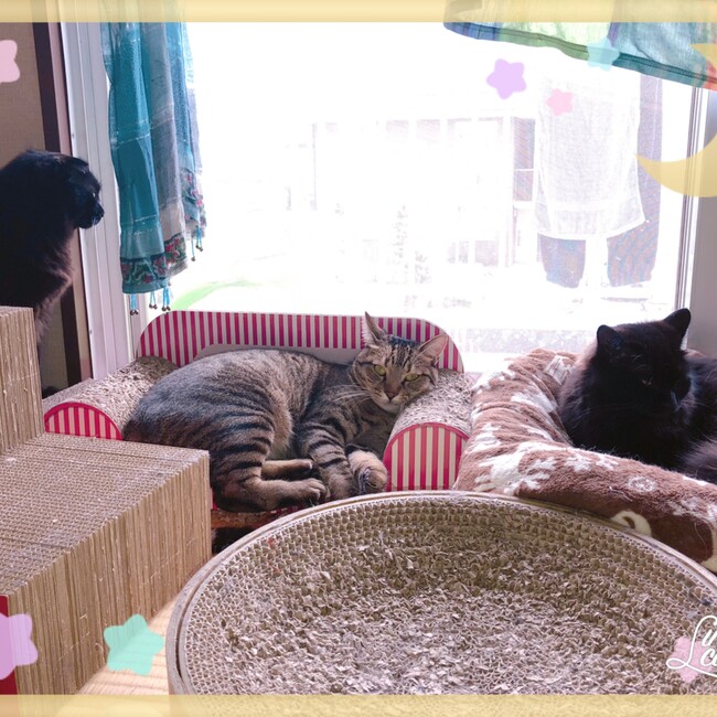 あちゅぼんのカバー写真