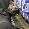 ねんね