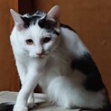 てつこ&ダルの兄妹ウルです
