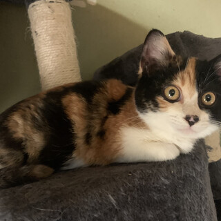 おめめクリクリの甘えっ子♡