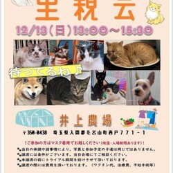 井上農場犬猫里親会