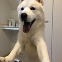 沢山の募集ありがとうございます！