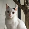 性格