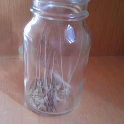 「猫のヒゲ」サムネイル1