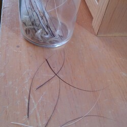 「猫のヒゲ」サムネイル2